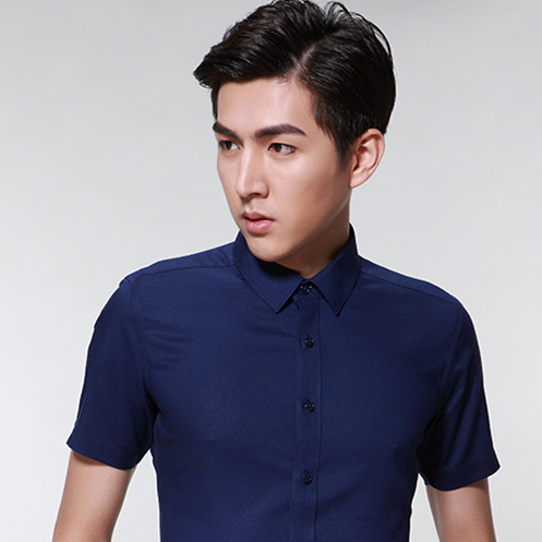 Men Short-sleeves Business Shirt